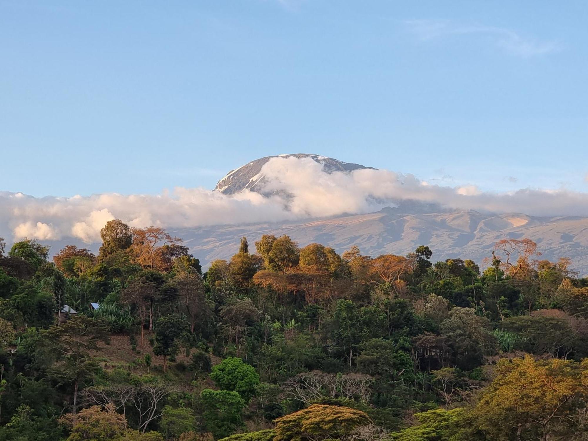 Kisanga Homestay Moshi Exteriér fotografie