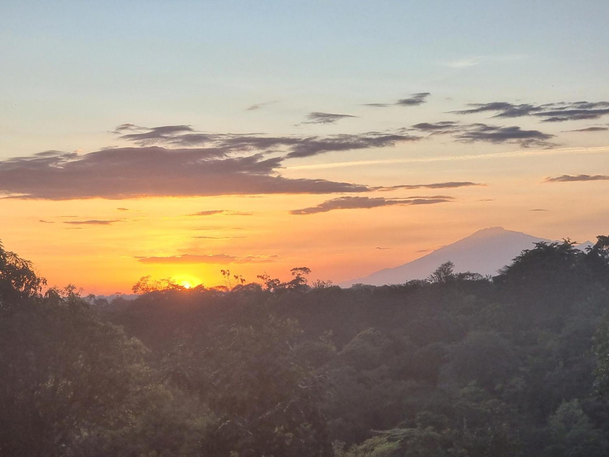 Kisanga Homestay Moshi Pokoj fotografie
